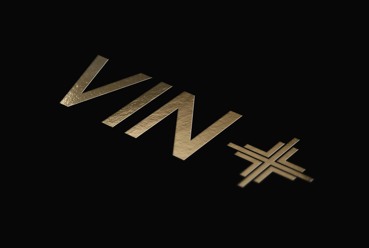 vin+-logo